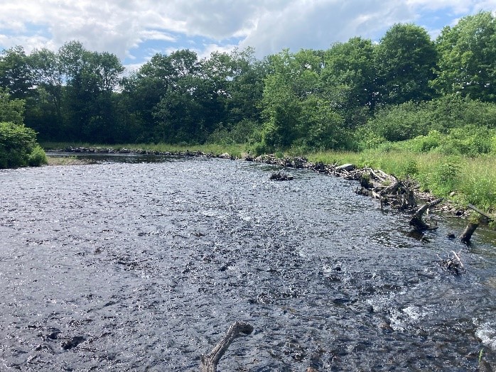 View of a river with a bridge support in the middle and on the far side, but no bridge across.