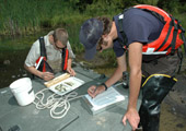 Sea Lamprey Larval Assessment After Lampricide Treatment