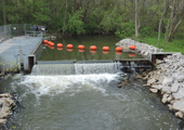 Trail Creek Barrier and Fish Ladder Trap