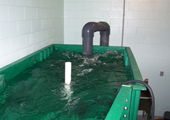 Sea Lamprey Flume