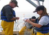 Gillnetting on Lake Huron