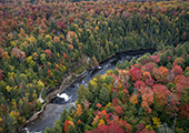 Tahquamenon Falls - Upper Falls